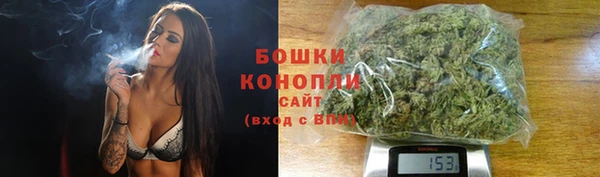 spice Козловка